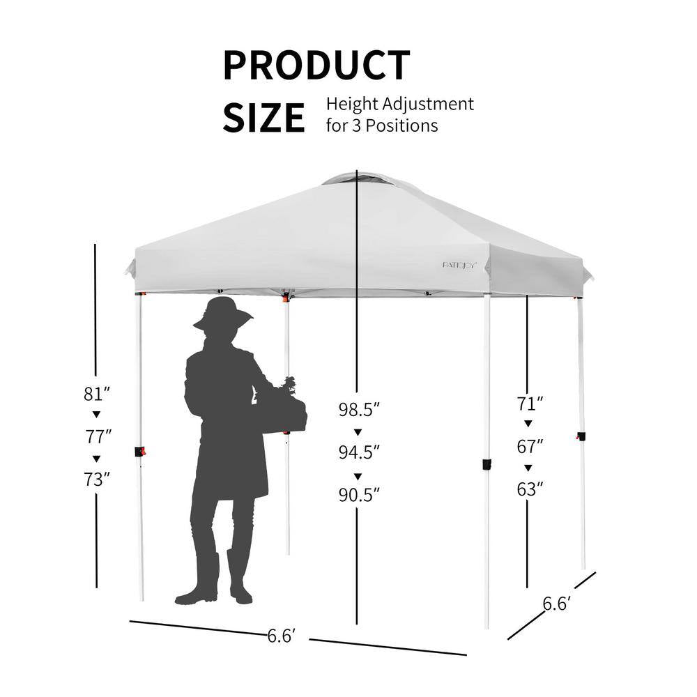 6.6 Ft. X 6.6 Ft. Outdoor Pop-Up Canopy Tent with Roller Bag, Height Adjustable, Gray