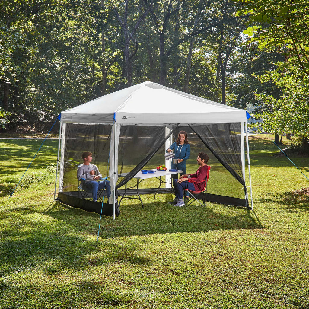 Canopy Mesh Curtain Accessory with Zippered Walls for 10' X 10' Canopy